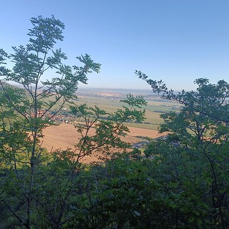 Ferienhaus Waldperle Harzblick Wernrode Dış mekan fotoğraf