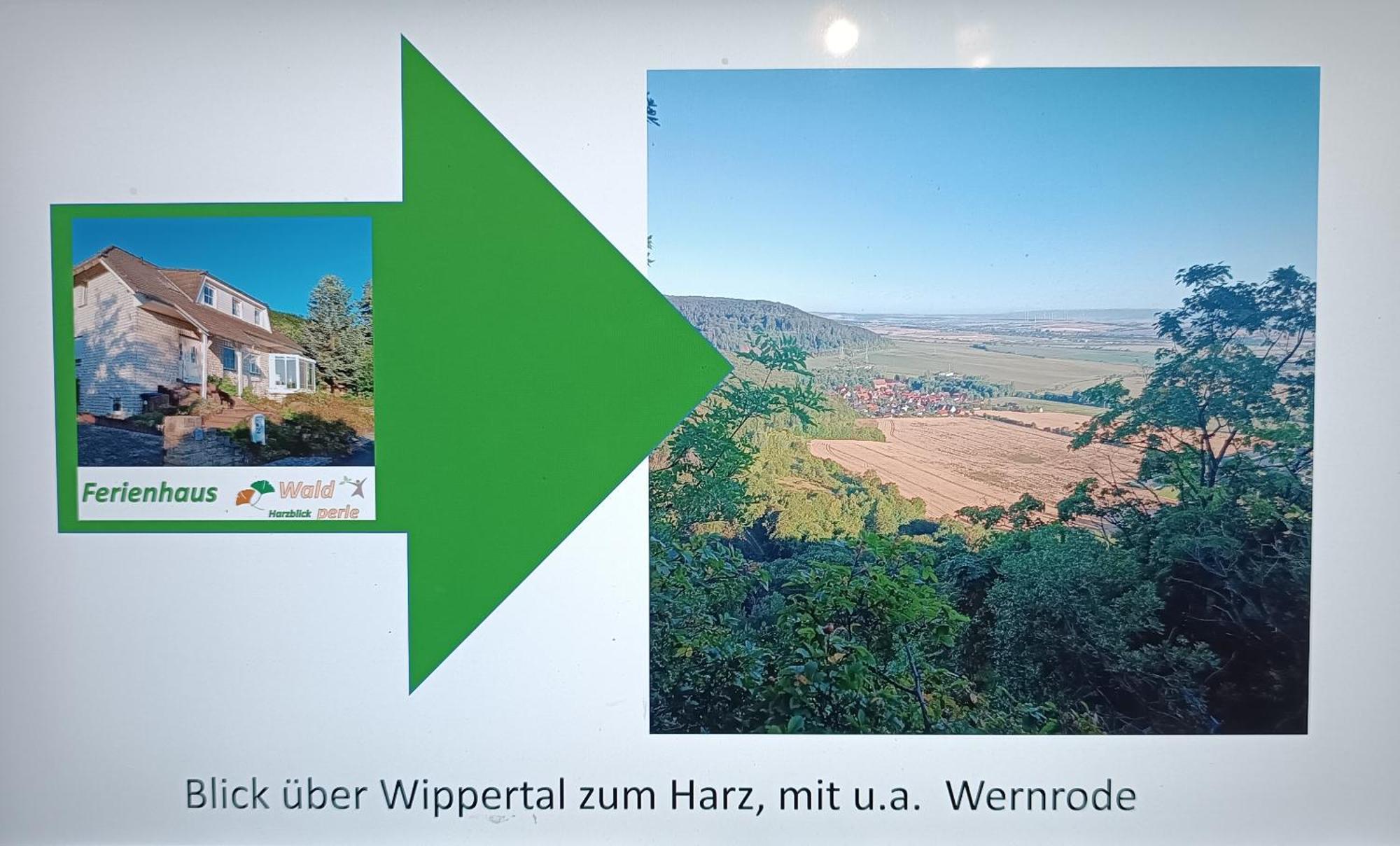 Ferienhaus Waldperle Harzblick Wernrode Dış mekan fotoğraf