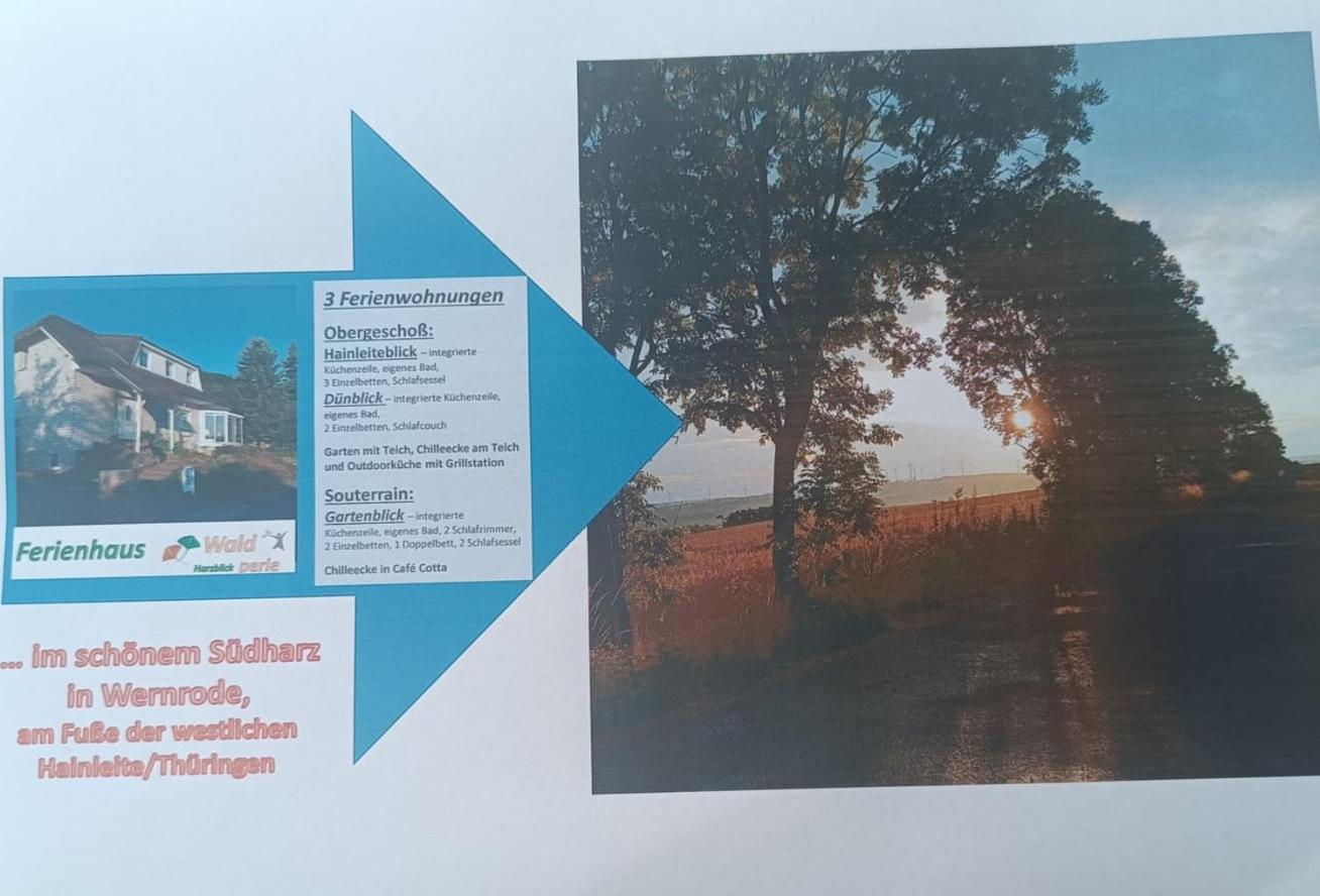 Ferienhaus Waldperle Harzblick Wernrode Dış mekan fotoğraf